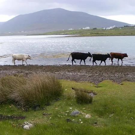 Bed & Breakfast Bleanaskill & Achill Secret Garden