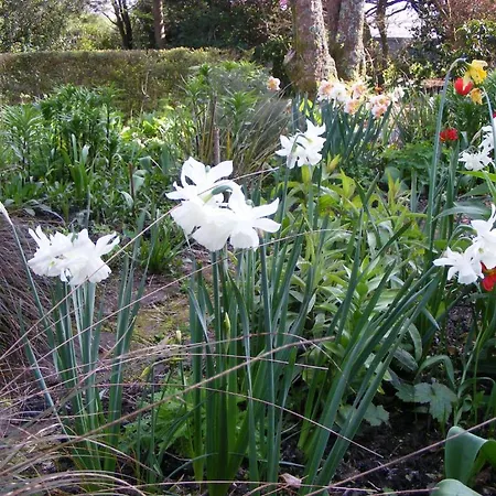 Bed & Breakfast Bleanaskill & Achill Secret Garden *