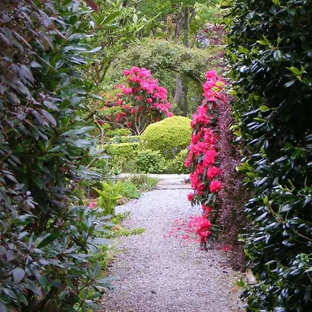 Bed & Breakfast Bleanaskill & Achill Secret Garden