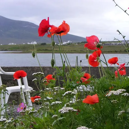 Bleanaskill & Achill Secret Garden Bed & Breakfast Castlebar