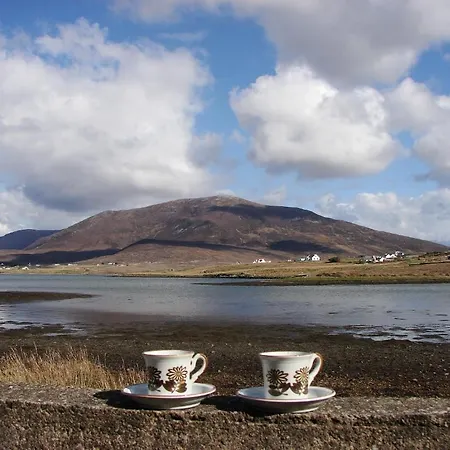 Bed & Breakfast Bleanaskill & Achill Secret Garden