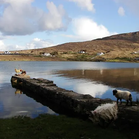 Bed & Breakfast Bleanaskill & Achill Secret Garden Castlebar